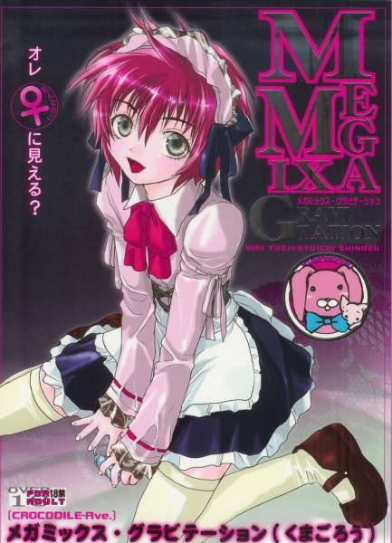 Gravitation dj - Megamix Gravitation cover