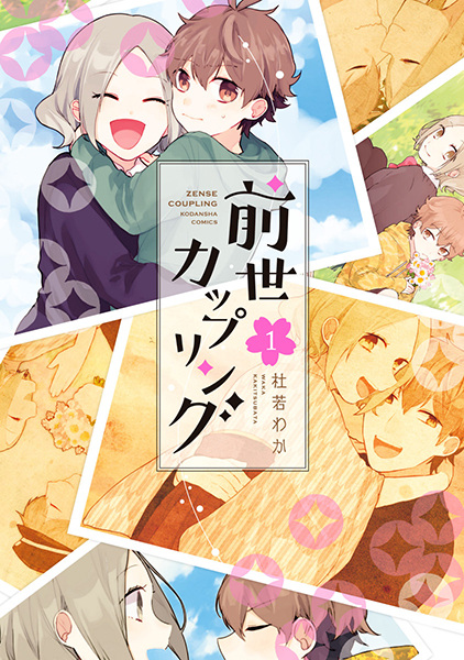 Zense Coupling cover