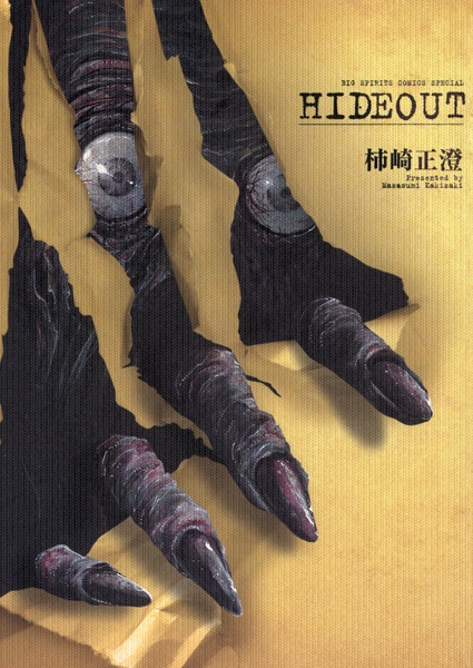 Hideout cover