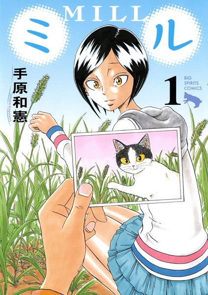 Mill cover