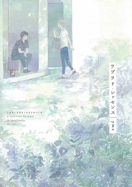 Labradorescence cover