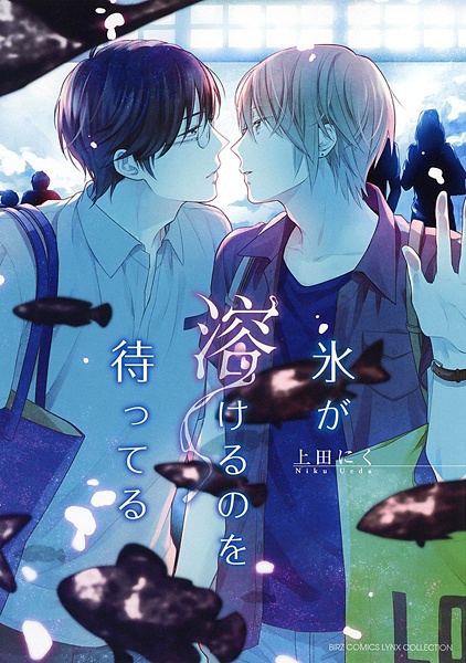 Koori ga Tokeru no wo Matteru cover