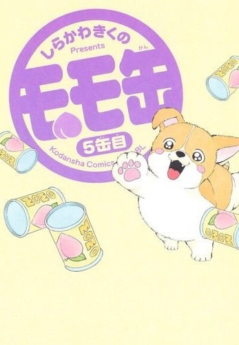 Momokan cover