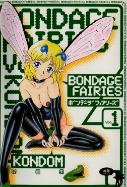 Bondage Fairies cover