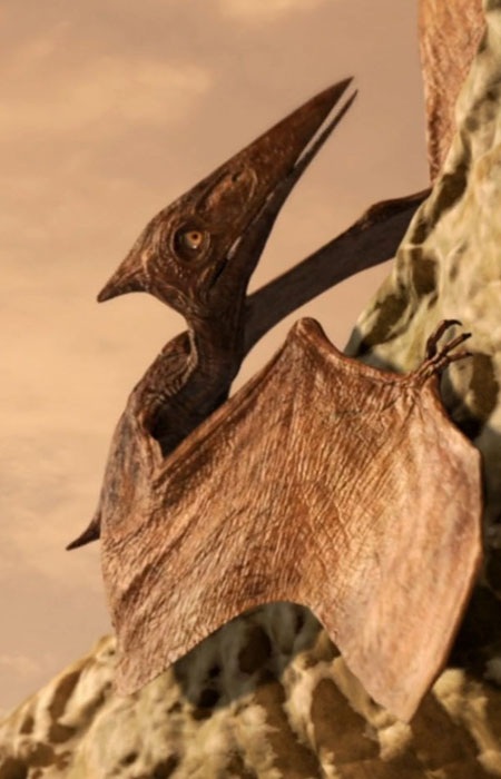 Nemicolopterus