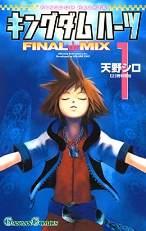 Kingdom Hearts cover