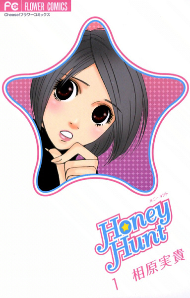 Honey Hunt cover