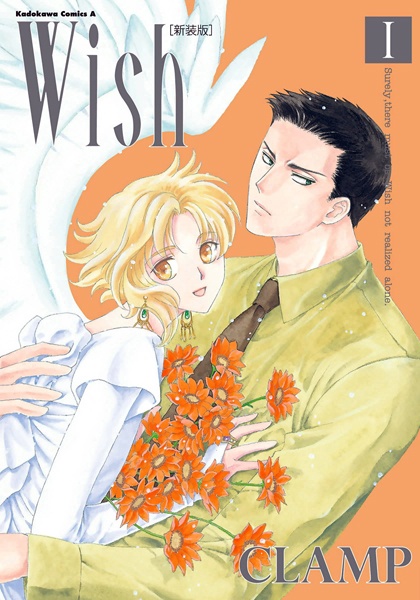Wish cover
