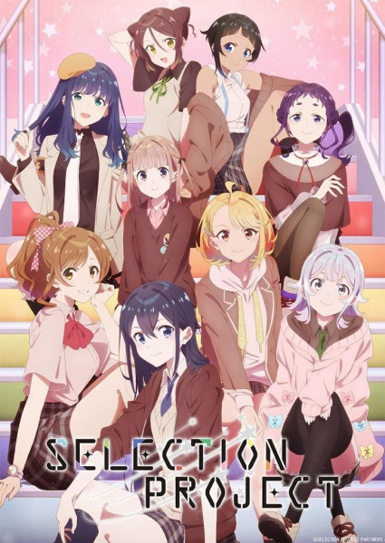 Selection Project poster