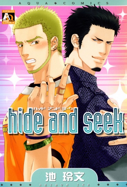 Hide and Seek cover