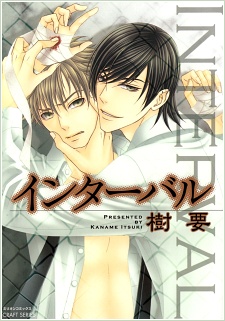 Interval cover