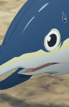 Amaru, Zan