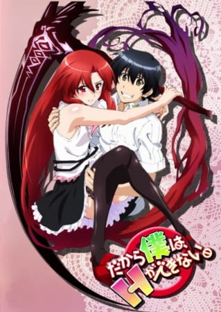 Dakara Boku wa, H ga Dekinai. poster
