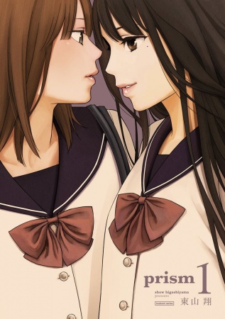 Prism cover