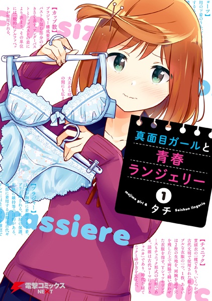 Majime Girl to Seishun Lingerie cover
