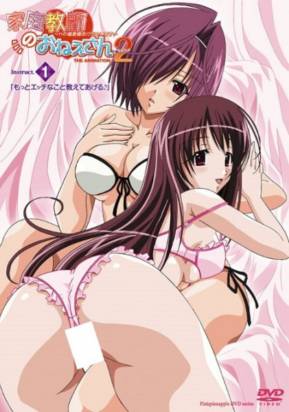 Kateikyoushi no Oneesan 2 The Animation: H no Hensachi Agechaimasu poster