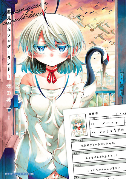 Yumemigaoka Wonderland cover