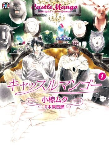Castle Mango cover