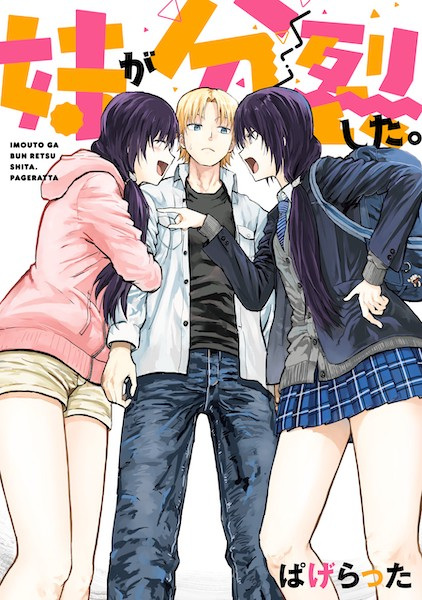 Imouto ga Bunretsu shita. cover