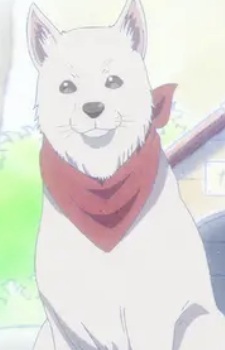 Nachi