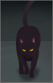 Nora Neko