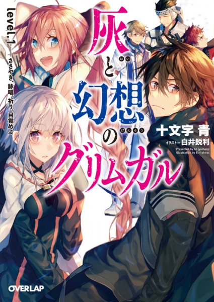 Grimgar of Fantasy and Ash cover