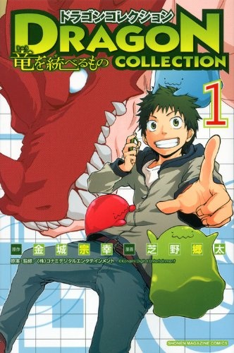 Dragon Collection: Ryuu wo Suberumono cover