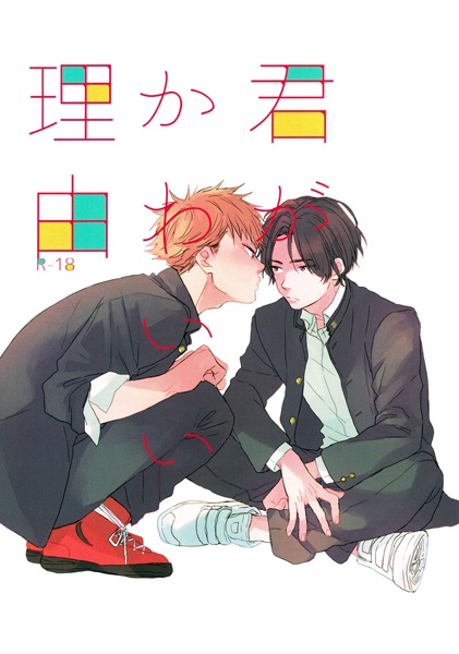 Kimi ga Kawaii Riyuu cover