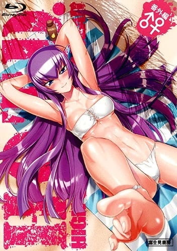 Highschool of the Dead: Drifters of the Dead poster