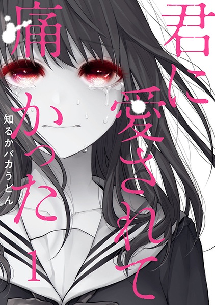 Kimi ni Aisarete Itakatta cover