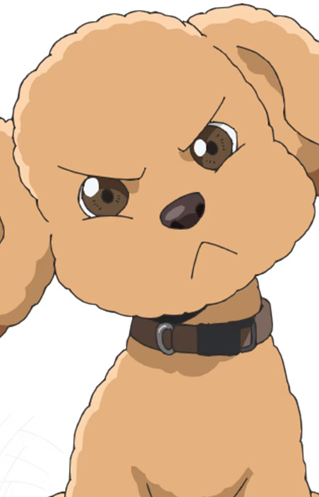 Singe