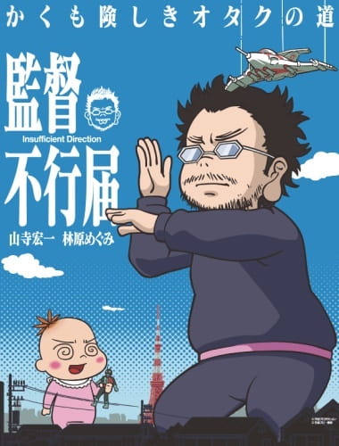Insufficient Direction poster