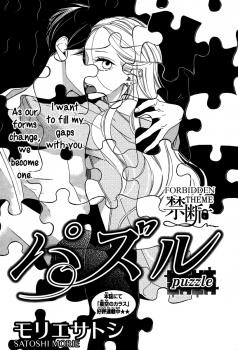 Puzzle cover