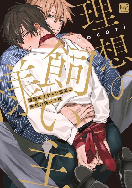 The Handsome Salesman At Work Is An Ideal Master cover