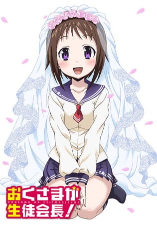 Okusama ga Seitokaichou! poster