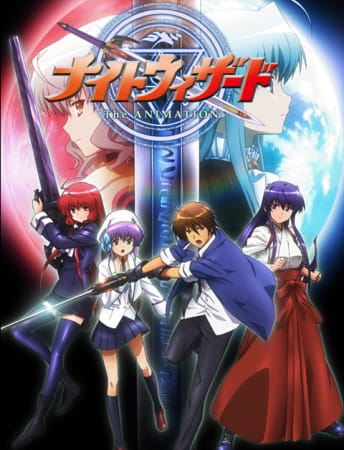 Night Wizard poster
