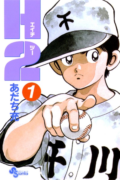 H2 cover