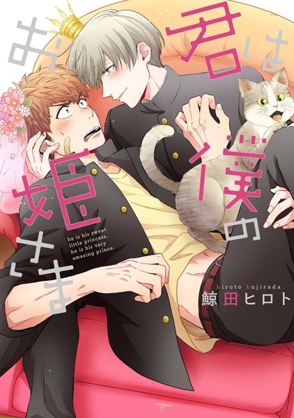 Kimi wa Boku no Ohimesama cover