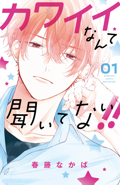Kawaii nante Kiitenai!! cover