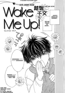 Wake Me Up cover
