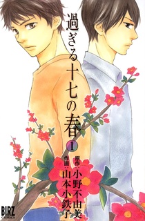 Sugiru Juunana no Haru cover