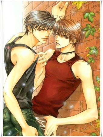 Double Face cover