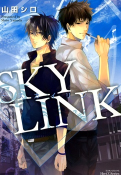Sky Link cover