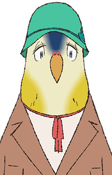 Paradise Parrot