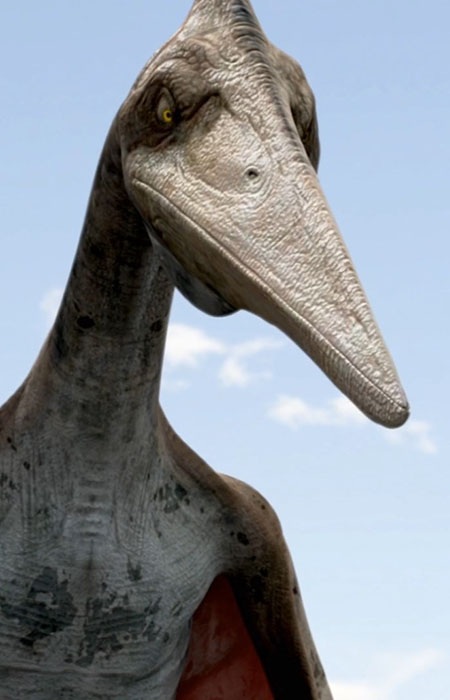 Haenamichnus