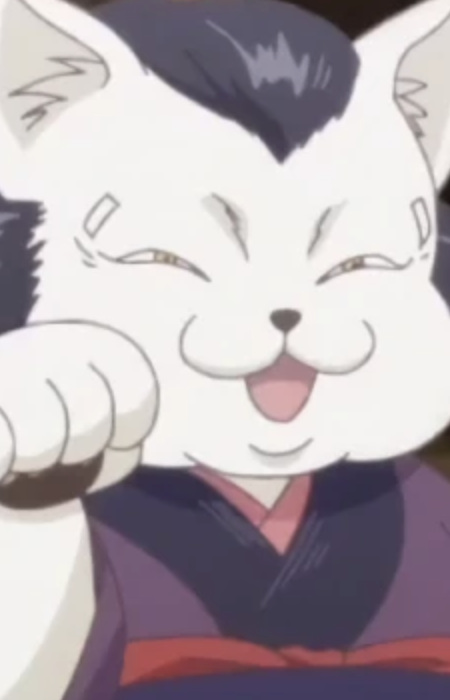 Cat Shop Owner