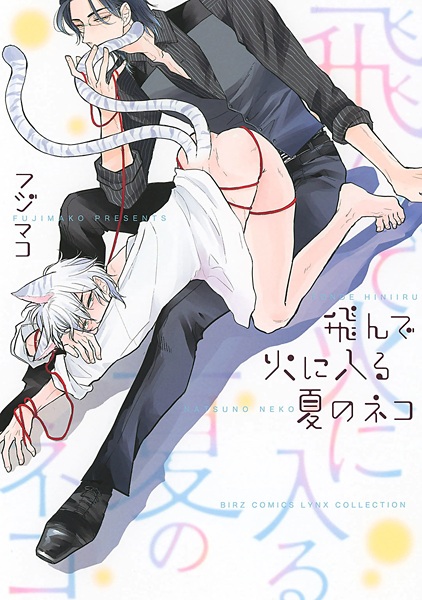 Tonde Hi ni Iru Natsu no Neko cover