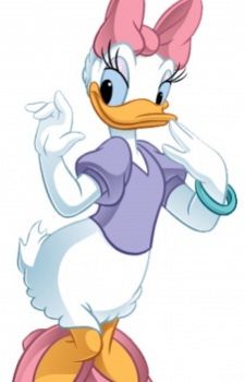 Duck, Daisy