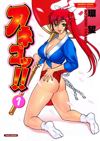 Anego!! cover
