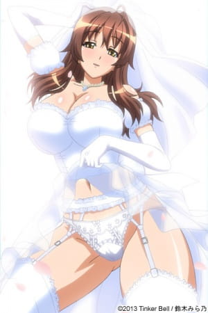 Ryou Seibai!: Gakuen Bishoujo Seisai Hiroku poster